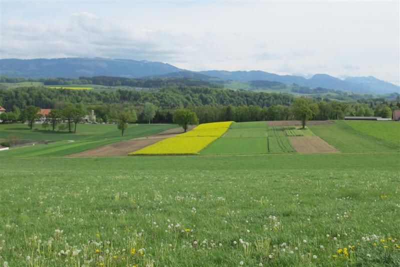 Photo illustrant l'exploitation agricole de Grangeneuve 
