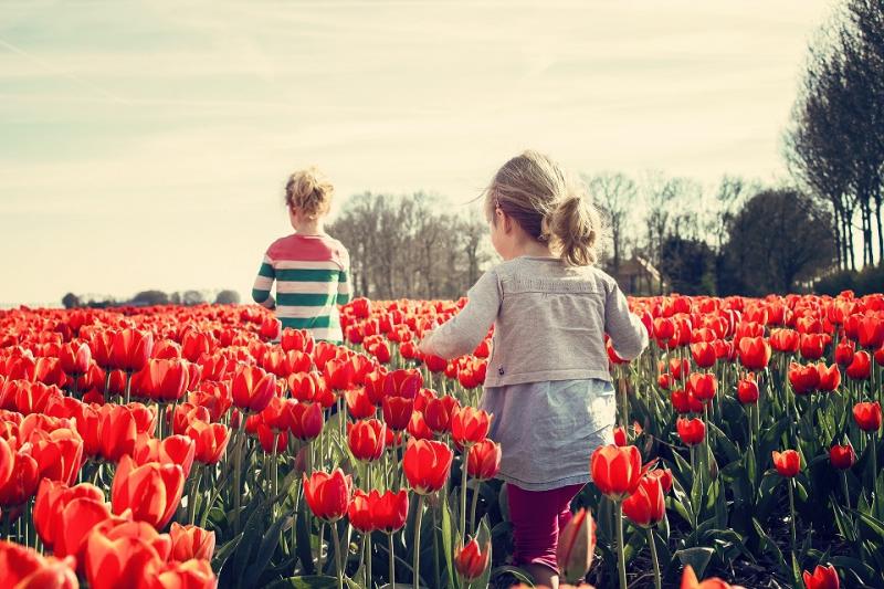 Enfants dans un champ de fleurs