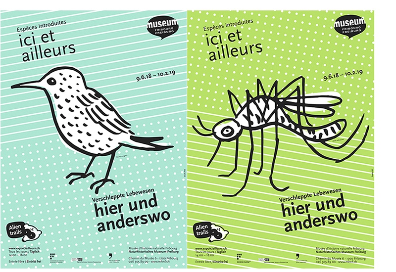 Exposition ici et ailleurs au Musée d'histoire naturelle Fribourg