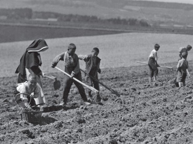 Enfants travaillant dans un champ