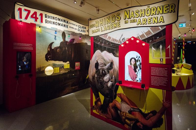 Exposition Rhinostar au Musée d'histoire naturelle de Fribourg