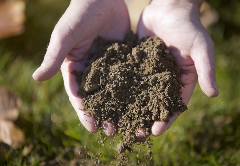 Observation des sols