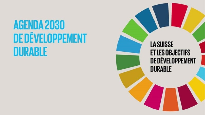 La Suisse et le DD-F