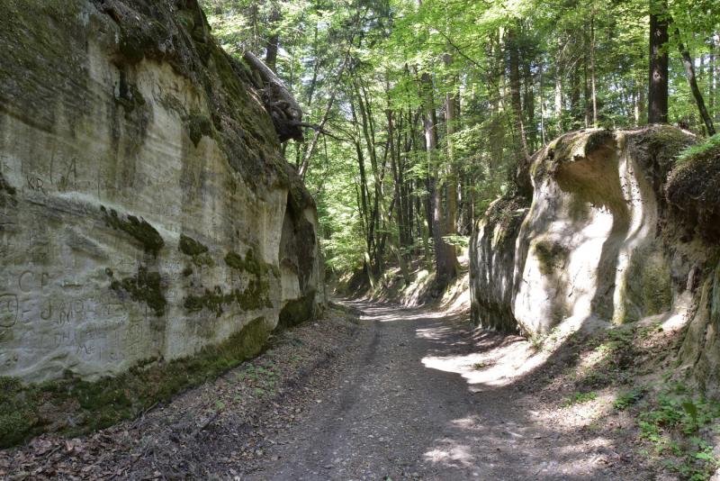 Montagny-les-Monts, Hohlweg nationaler Bedeutung des Bois de la Bruyère, im Sandstein ausgehöhlte Passage. 