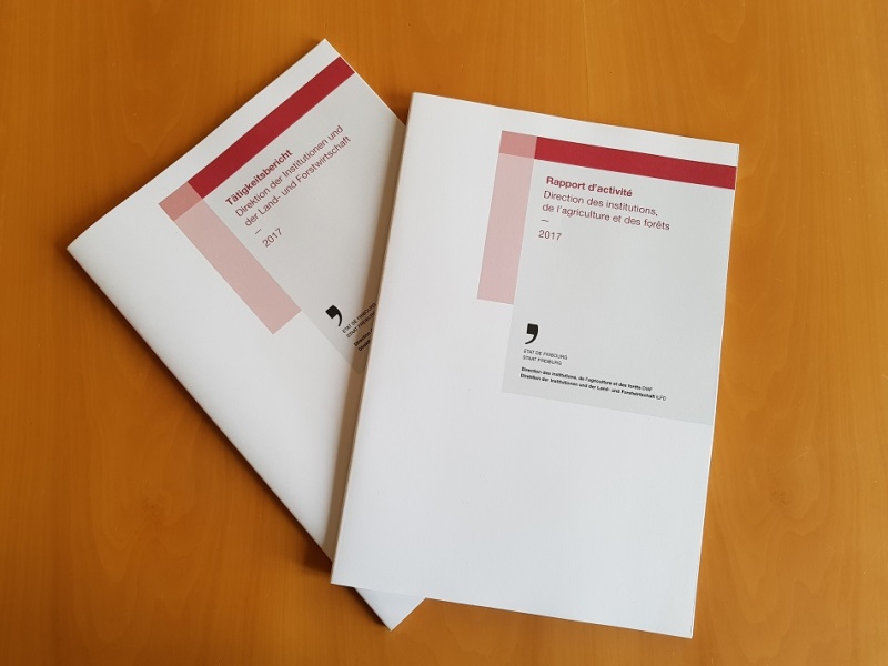 ILFD Tätigkeitsbericht 2017