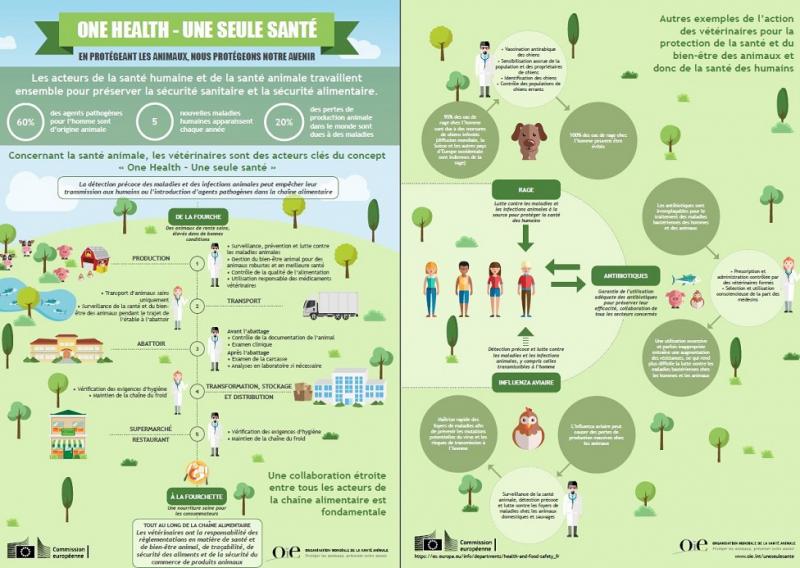 Infographique de One Health