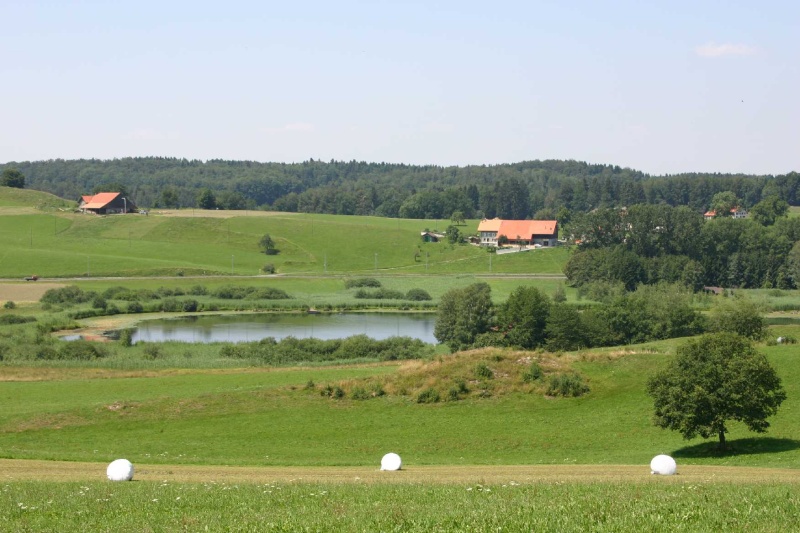 Site marécageux du lac de Lussy