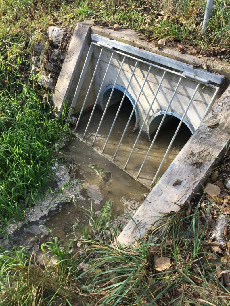 Pollution d’un ruisseau à Corminboeuf