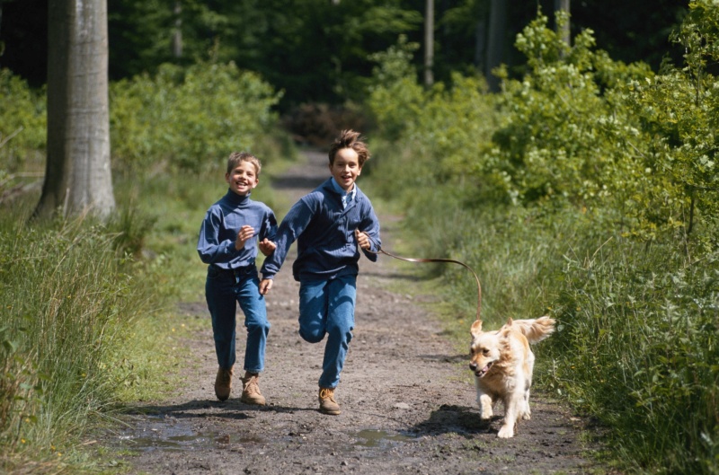 Mit dem Hund im Wald...