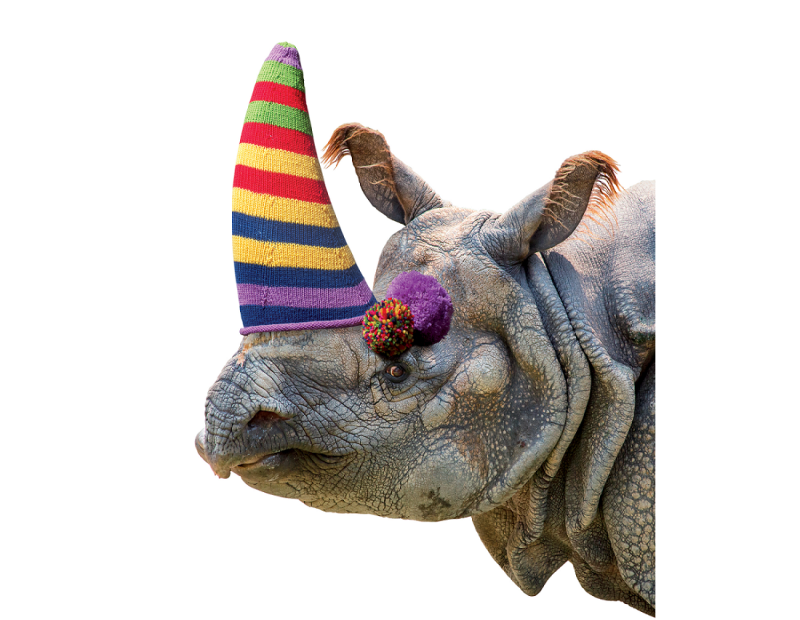 100% pure laine - rhino