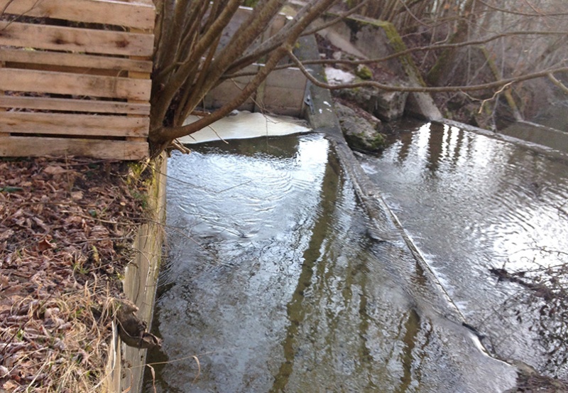 Pollution de la Sonnaz à Seedorf
