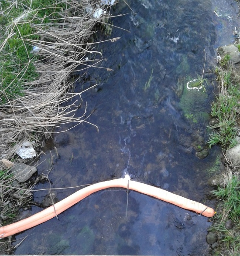 Pollution d’une rivière à Romont