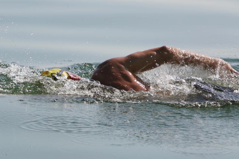 Un nouveau lieu de départ et beaucoup de passionnés pour la traversée du lac de Morat