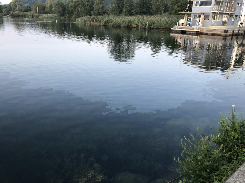 Pollution dans le lac de Neuchâtel à Cheyres