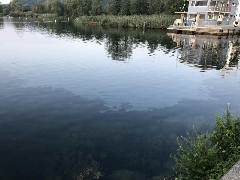 Pollution dans le lac de Neuchâtel à Cheyres