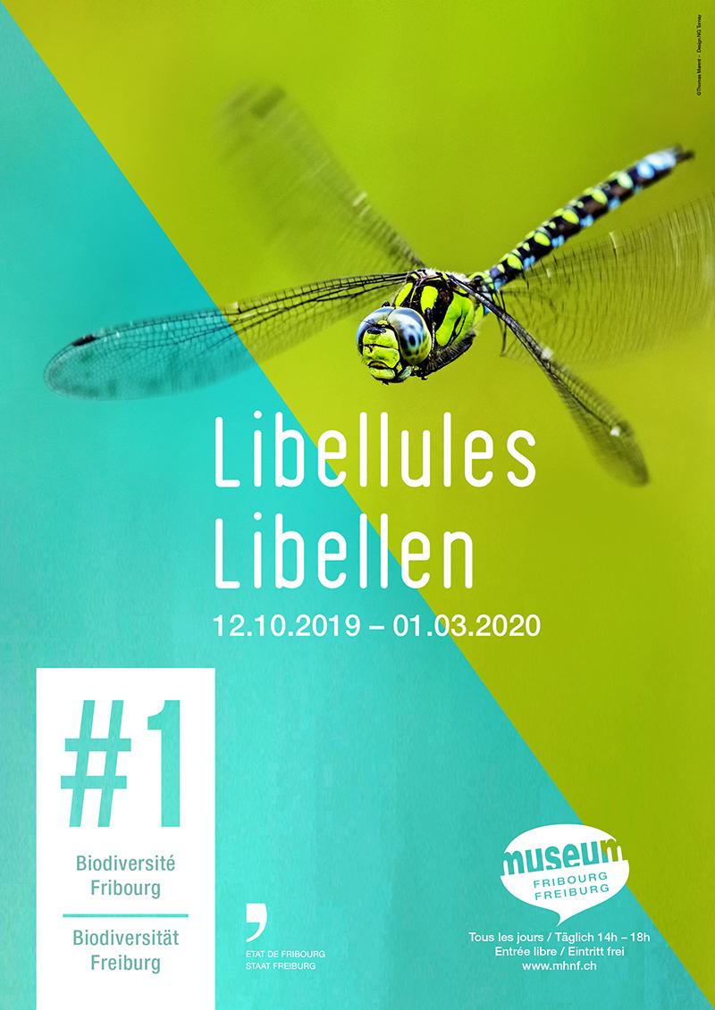 Libellen - #1 Biodiversität Freiburg 
