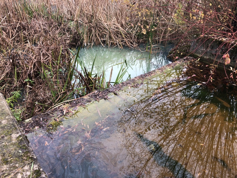 Le bassin de rétention à Givisiez 