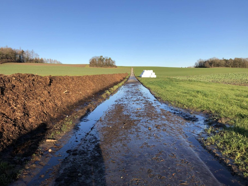 Ruiseau pollué à Châbles