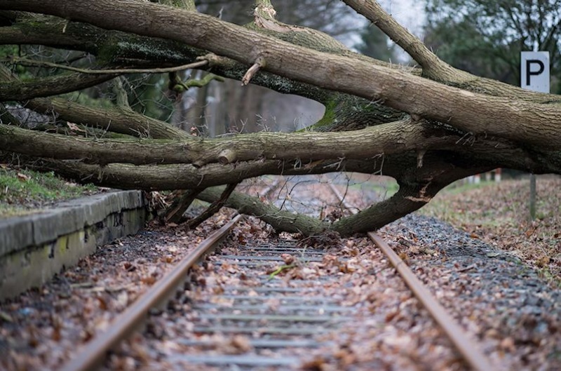 Baum auf dem Bahngleis