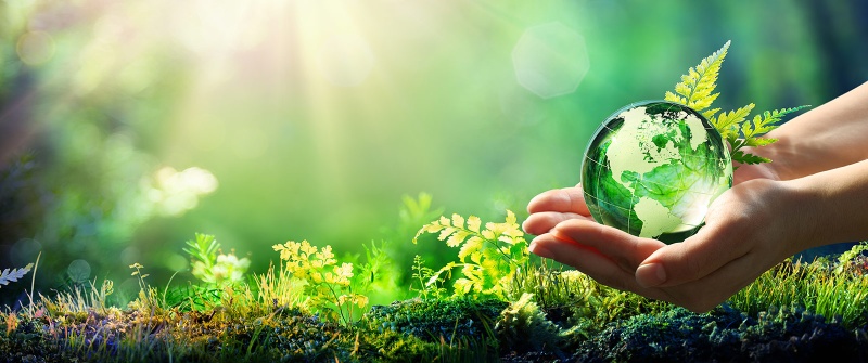 Café scientifique - Objectifs 2030 : l’effet papillon?