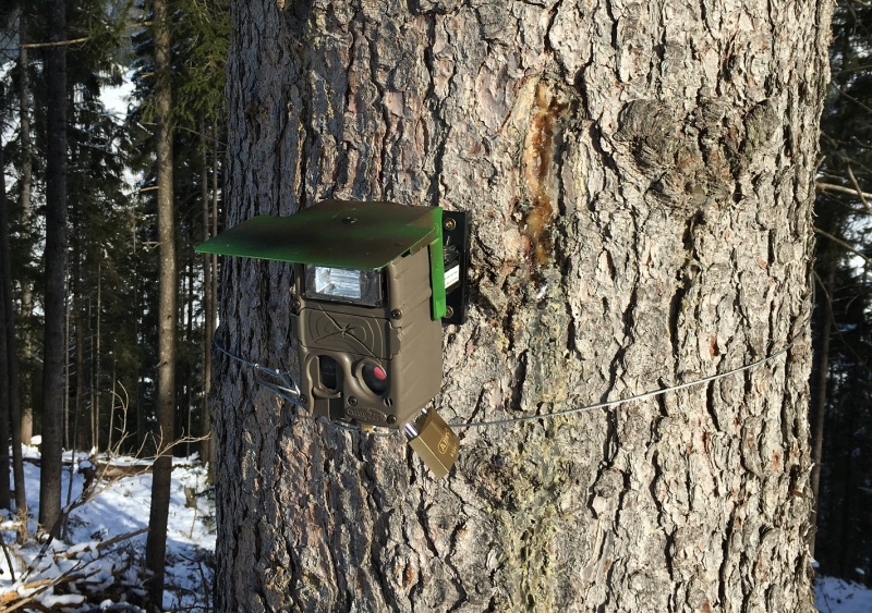 Piège photographique