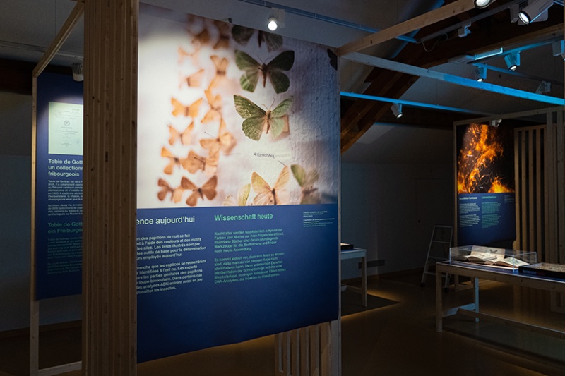 Exposition Papillons de nuit - #2 Biodiversité Fribourg