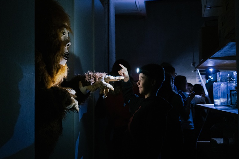 Nuit des Musées MHNF