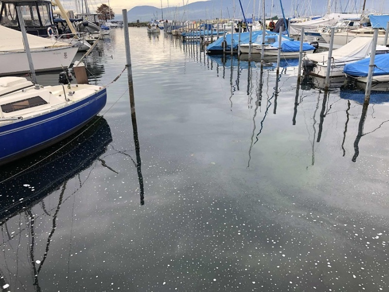 Pollution dans le port de Portalban – appel à témoin
