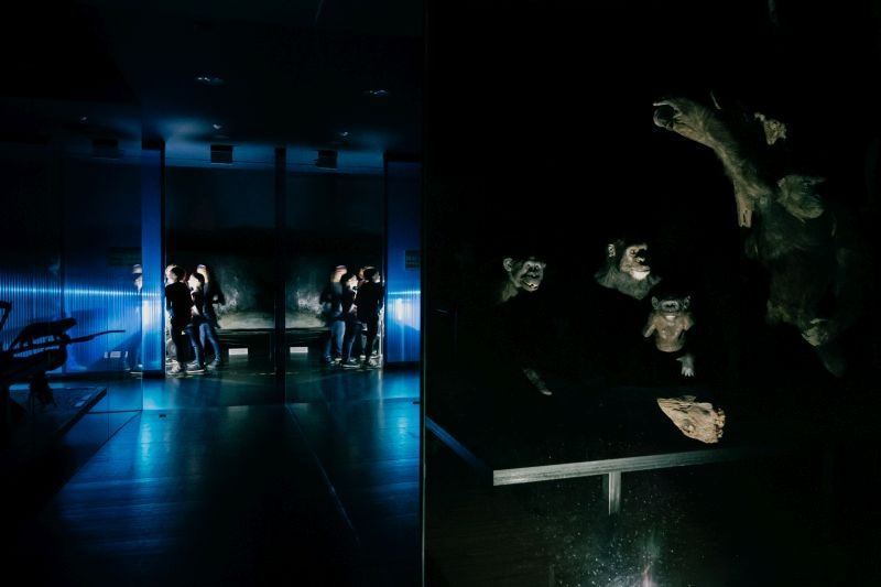 Nuit au Musée 11-13 ans -31