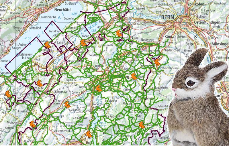 Die Route des Osterhasen auf den Online-Karten