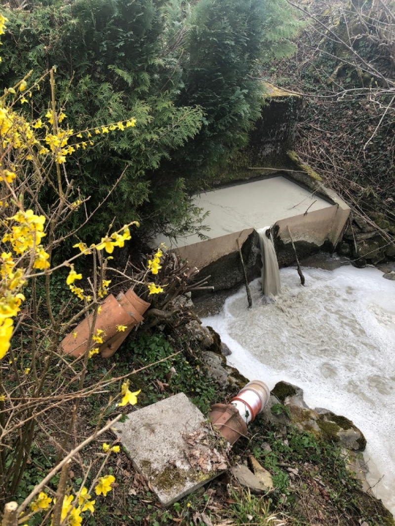 Pollution de la rivière de la Veveyse de Fégire, à Châtel-St-Denis / Verschmutzung des Flusses Veveyse de Fégire in Châtel-St-Denis