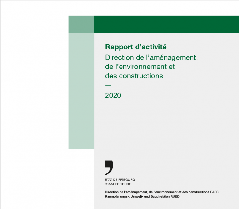 Rapport d'activité DAEC 2020