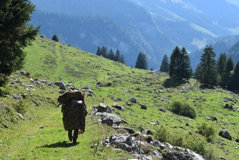 Chasse dans les Préalpes