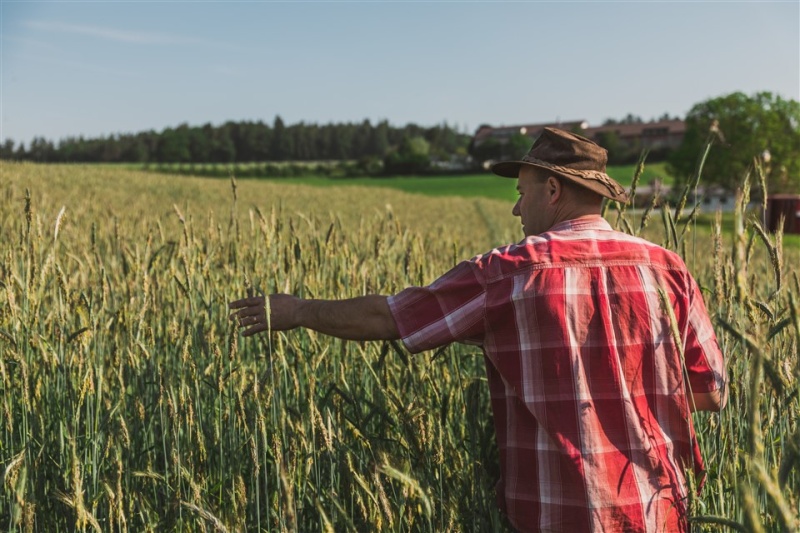 Das Foto zeigt einen Landwirt