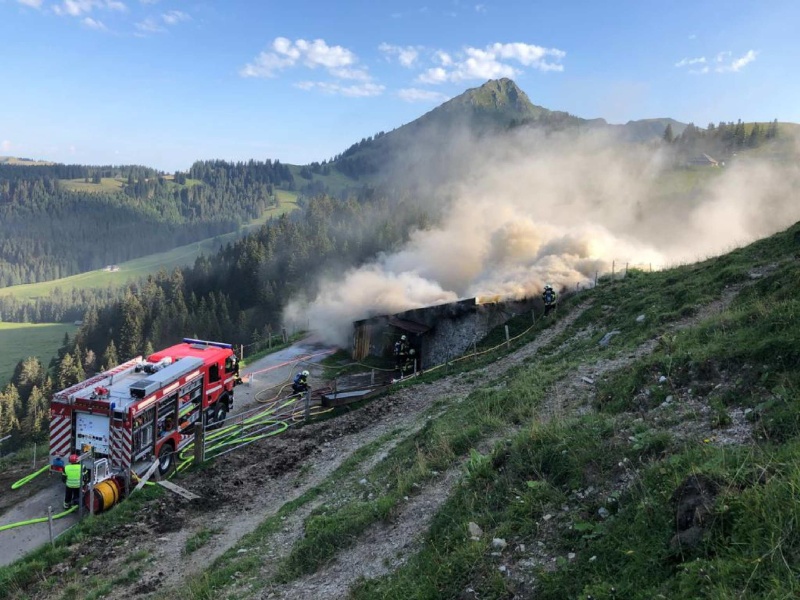 25 vaches sauvées d’un chalet d’alpage en feu à Châtel-St-Denis