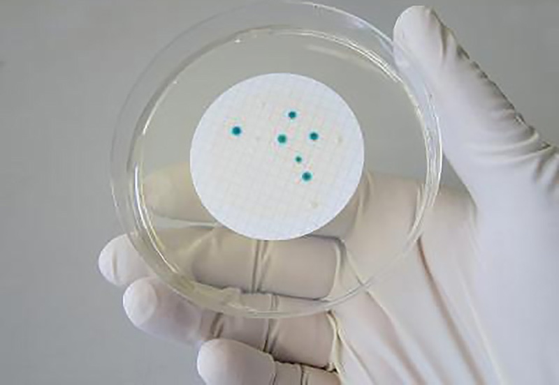 Sécurité biologique