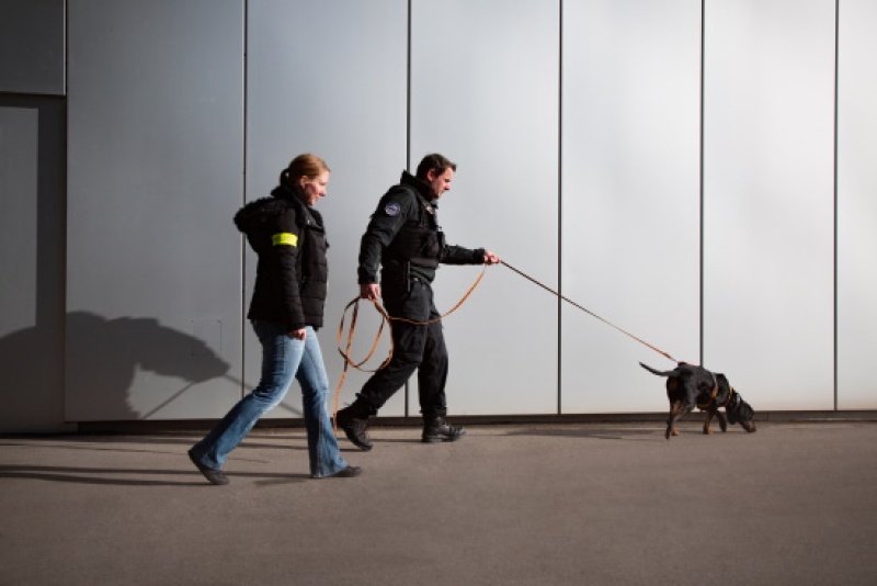 Activité 2021 de la Police cantonale Fribourg / Tätigkeit 2021 der Kantonspolizei Freiburg 