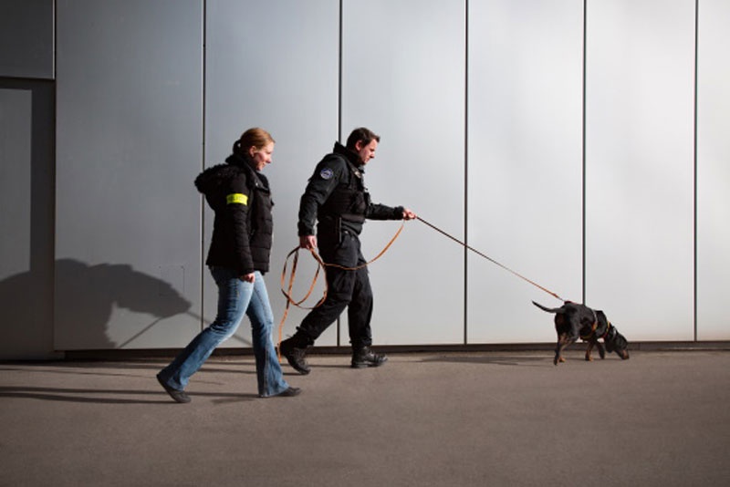 Activités 2021 de la Police cantonale fribourgeoise / Tätigkeiten 2021 der Kantonspolizei Freiburg