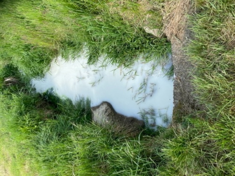 Pollution d'un ruisseau à Romont / Verschmutztung eines Baches in Romont 