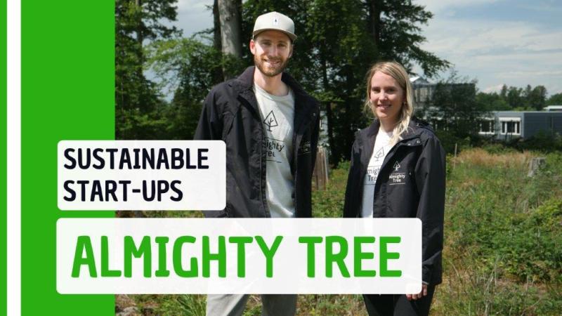 Sustainable start-ups ; start-up durable ; Almighty Tree