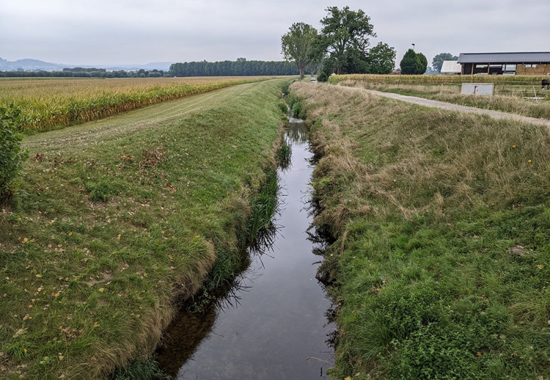 Petite Glâne avant revitalisation