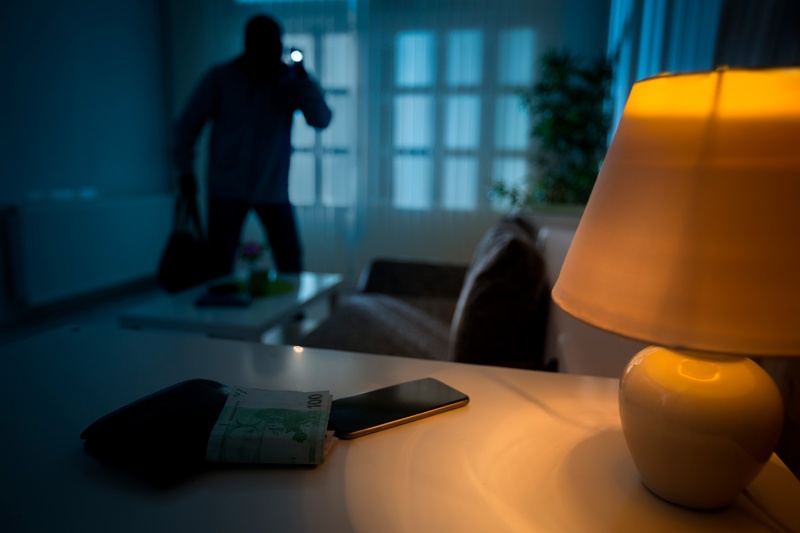 Journée nationale contre le cambriolage