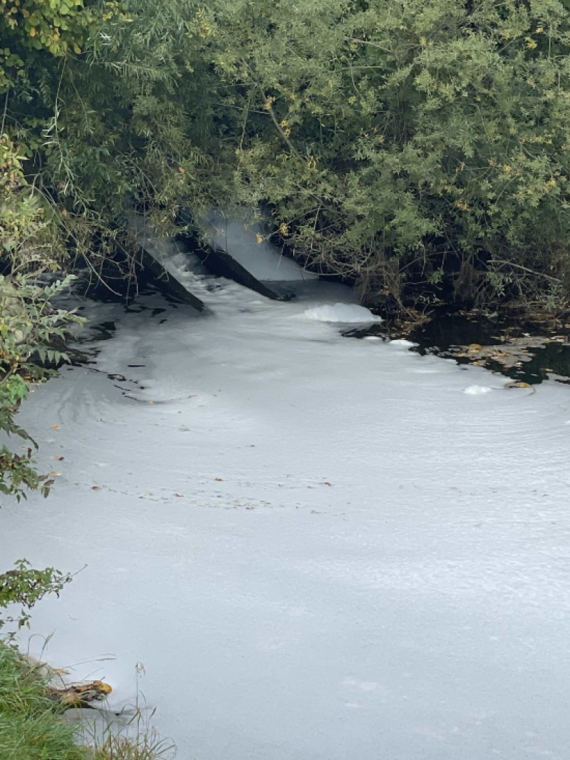 Pollution du ruisseau de la Crausa