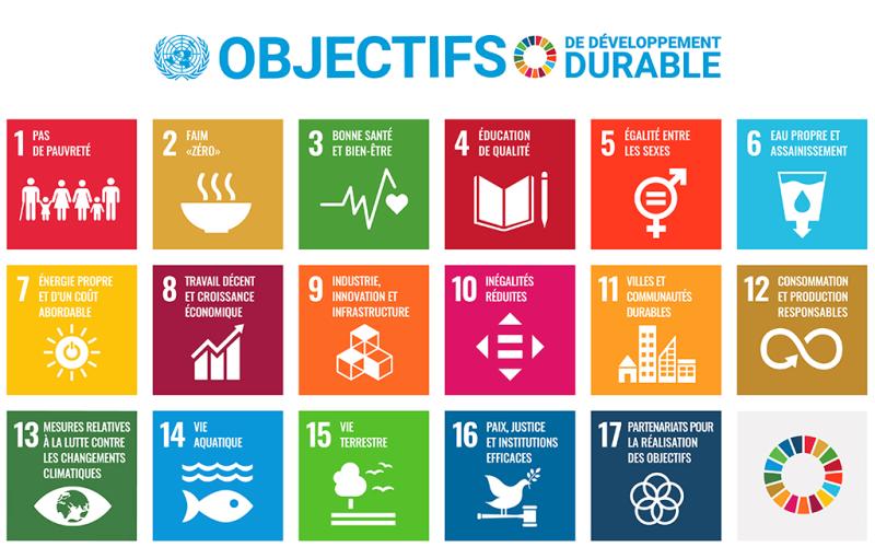 Objectifs de développement durable. Agenda 2030
