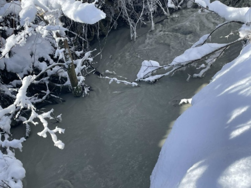 Ruisseau pollué à Siviriez