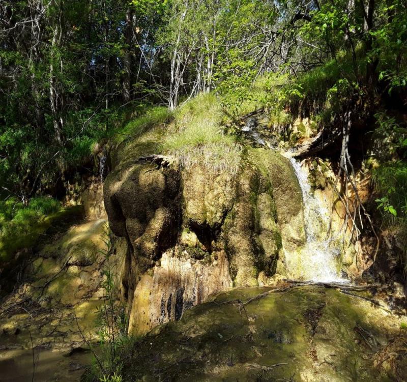 Beispiel einer natürlichen Quelle im Wald