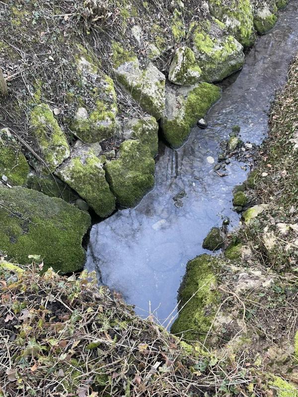 Deux ruisseaux pollués à La Joux et Ried bei Kerzers