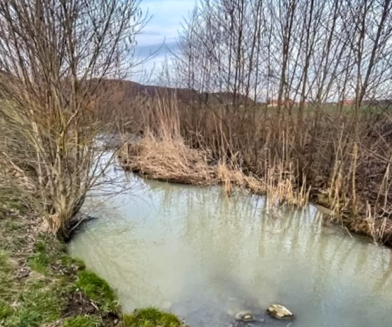 Pollution cours d'eau du Palon