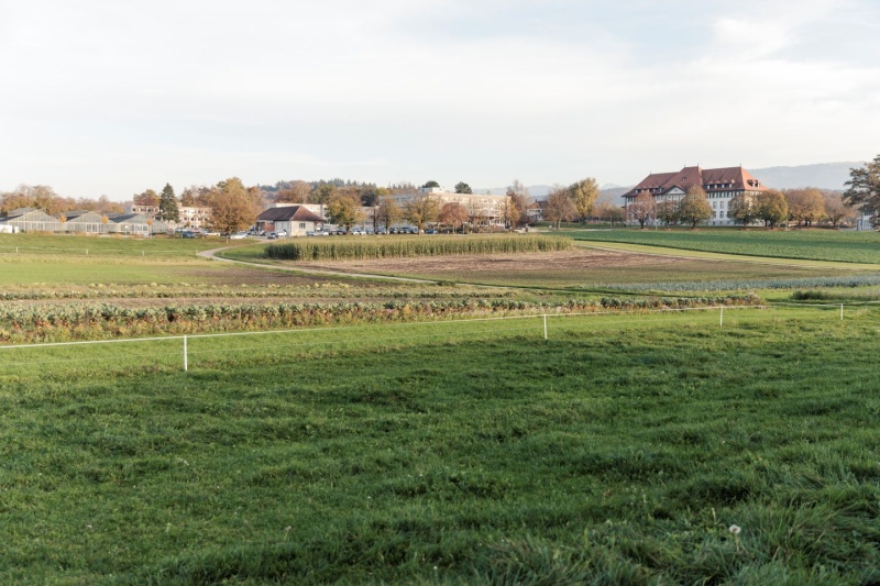Vue d'une partie du site de Grangeneuve