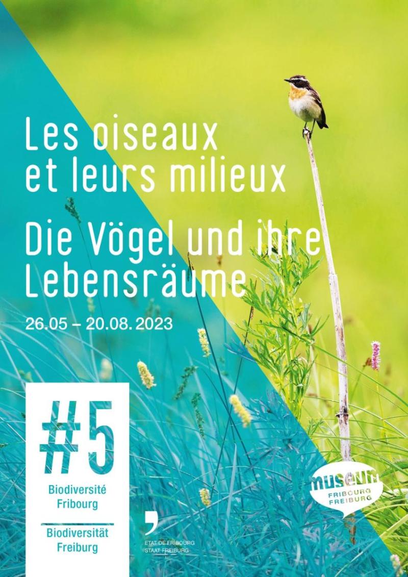 Les oiseaux et leurs milieux - #5 Biodiversité Fribourg 